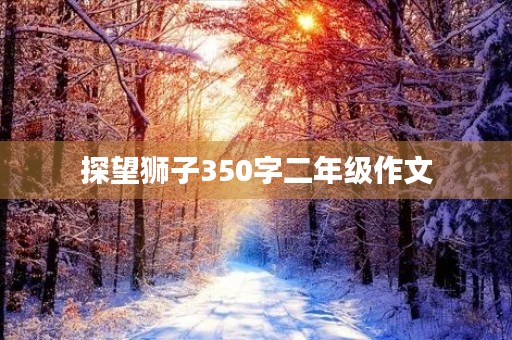 探望狮子350字二年级作文