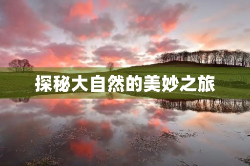 探秘大自然的美妙之旅 探秘大自然的美妙之旅