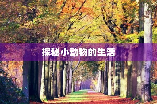 探秘小动物的生活