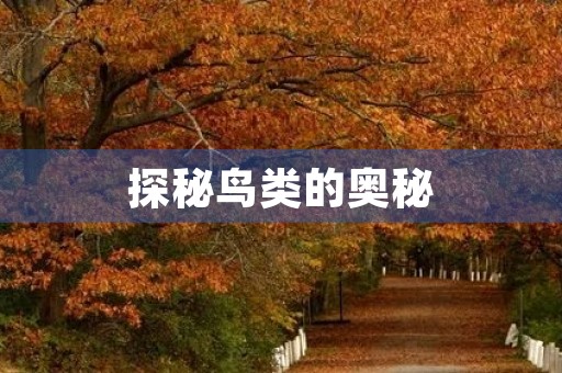 探秘鸟类的奥秘