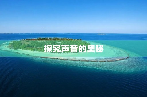 探究声音的奥秘 探究声音的奥秘