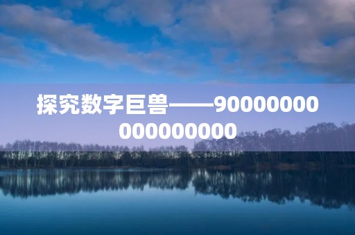 探究数字巨兽——90000000000000000