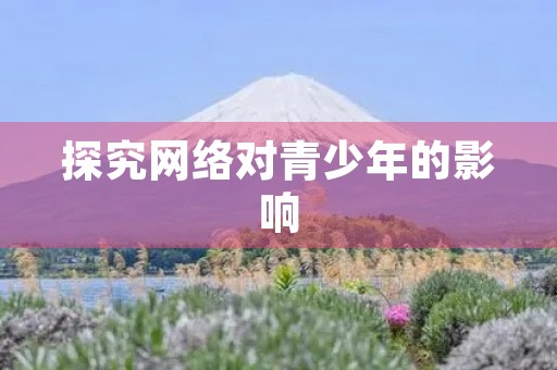 探究网络对青少年的影响 探究网络对青少年的影响