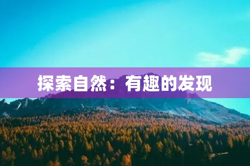 探索自然:有趣的发现 探索自然:有趣的发现