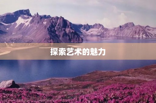 探索艺术的魅力