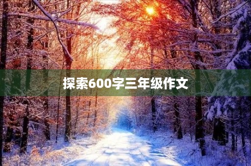 探索600字三年级作文