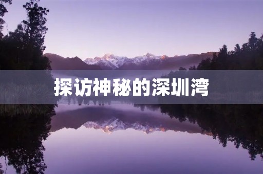 探访神秘的深圳湾 探访神秘的深圳湾