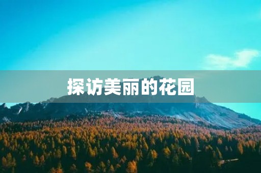 探访美丽的花园