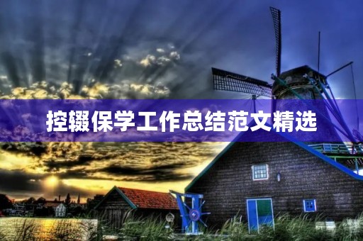控辍保学工作总结范文精选