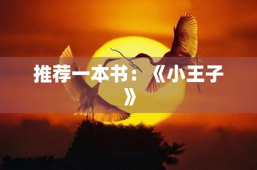 推荐一本书:《小王子》 推荐一本书:《小王子》