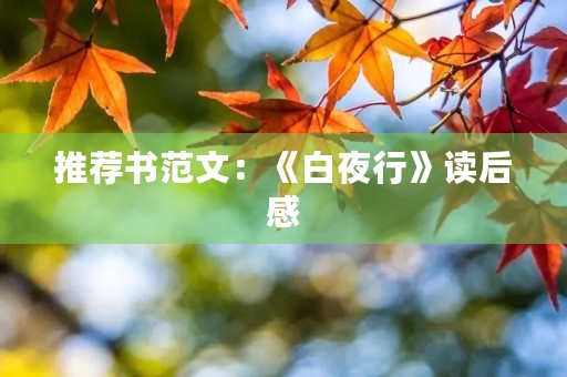 推荐书范文：《白夜行》读后感