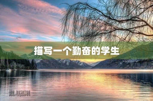 描写一个勤奋的学生