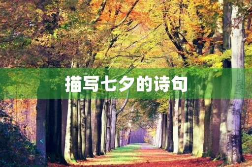 描写七夕的诗句 描写七夕的诗句