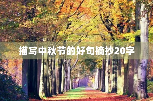 描写中秋节的好句摘抄20字(描写中秋节的好词好句摘抄) 描写中秋节的好句摘抄20字(描写中秋节的好词好句摘抄)
