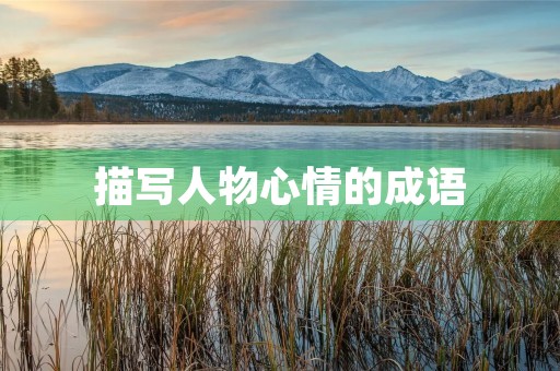 描写人物心情的成语