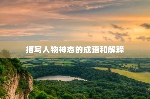 描写人物神态的成语和解释