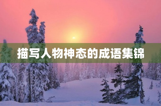 描写人物神态的成语集锦