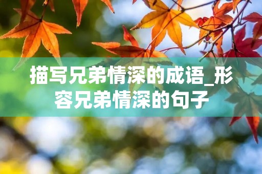 描写兄弟情深的成语_形容兄弟情深的句子 描写兄弟情深的成语_形容兄弟情深的句子