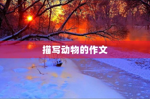 描写动物的作文 描写动物的作文