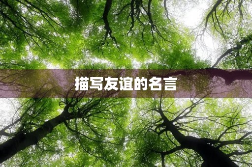 描写友谊的名言,描写友谊的名言警句 描写友谊的名言,描写友谊的名言警句