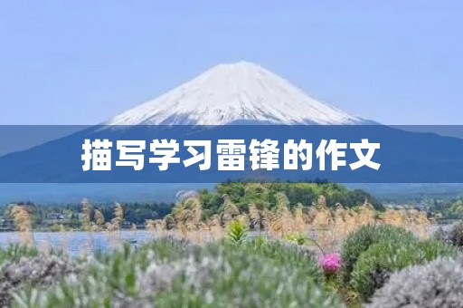 描写学习雷锋的作文