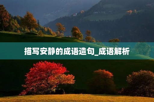 描写安静的成语造句_成语解析 描写安静的成语造句_成语解析
