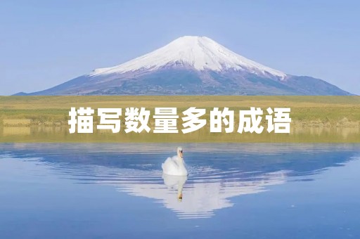 描写数量多的成语