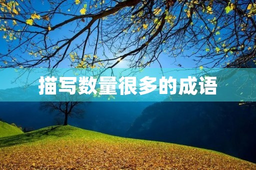 描写数量很多的成语
