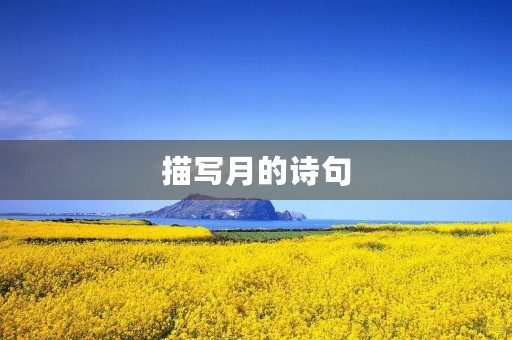 描写月的诗句 描写月的诗句