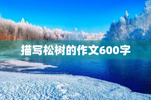 描写松树的作文600字