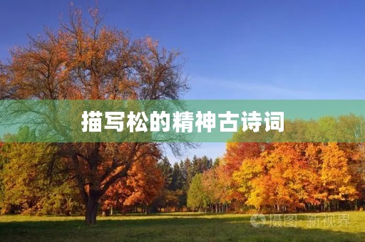 描写松的精神古诗词