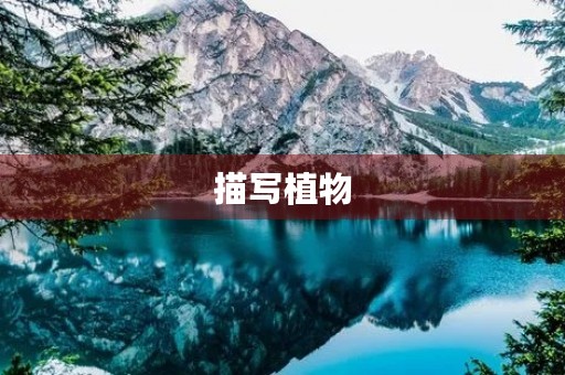 描写植物 描写植物