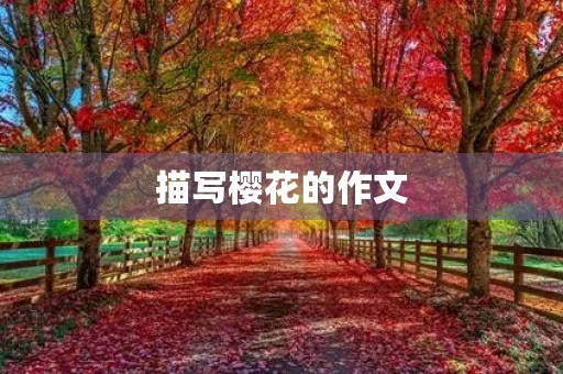描写樱花的作文