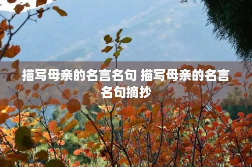 描写母亲的名言名句 描写母亲的名言名句摘抄 描写母亲的名言名句 描写母亲的名言名句摘抄