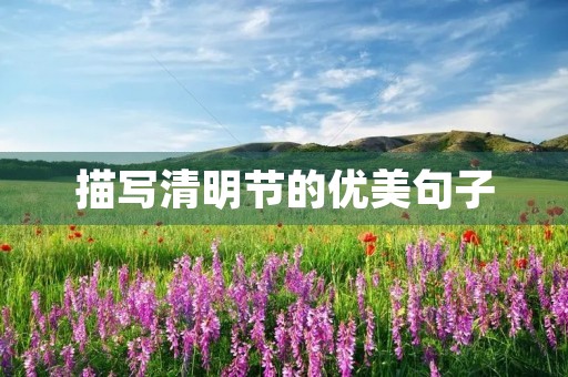 描写清明节的优美句子(描写清明节的优美句子10字)