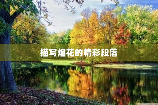 描写烟花的精彩段落 描写烟花的精彩段落