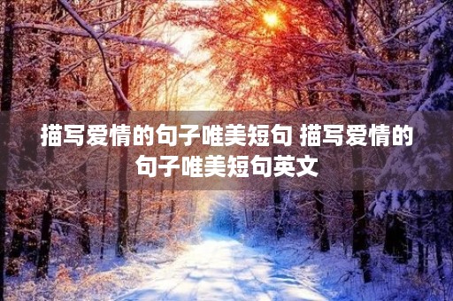 描写爱情的句子唯美短句 描写爱情的句子唯美短句英文