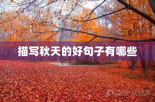 描写秋天的好句子有哪些，描写秋天的好句子有哪些三年级