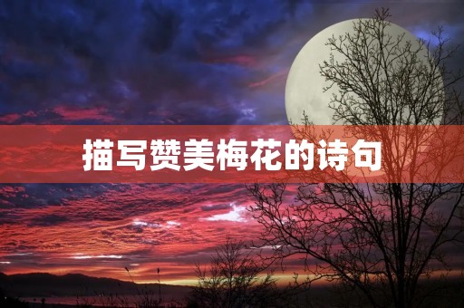 描写赞美梅花的诗句