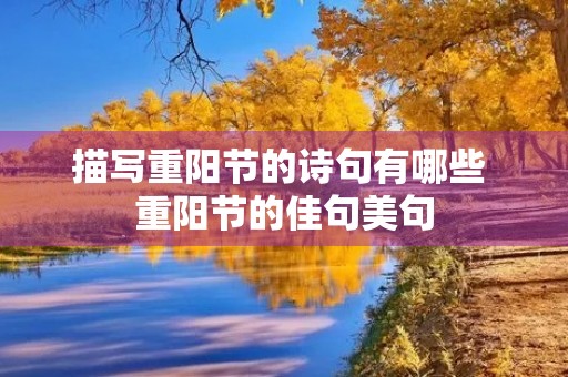 描写重阳节的诗句有哪些 重阳节的佳句美句
