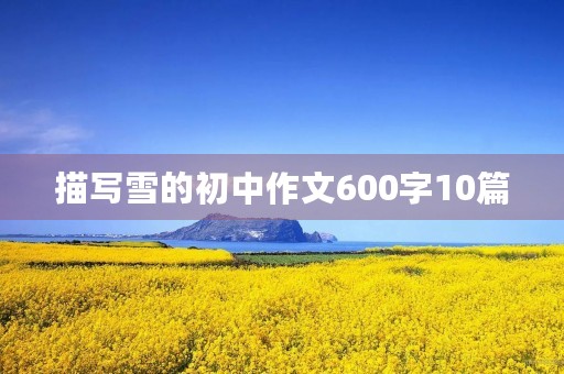 描写雪的初中作文600字10篇 描写雪的初中作文600字10篇