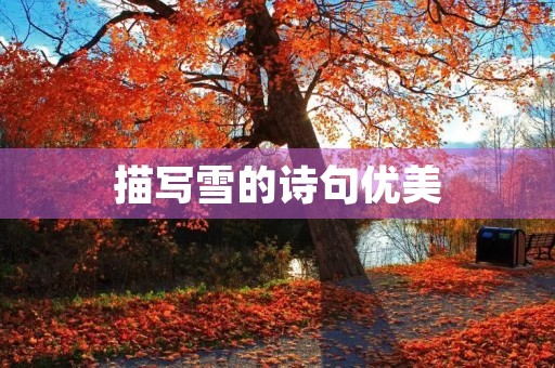 描写雪的诗句优美(描写雪的诗句优美句子现代)