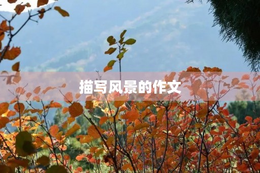 描写风景的作文 描写风景的作文