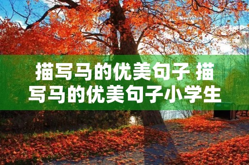 描写马的优美句子 描写马的优美句子小学生 描写马的优美句子 描写马的优美句子小学生