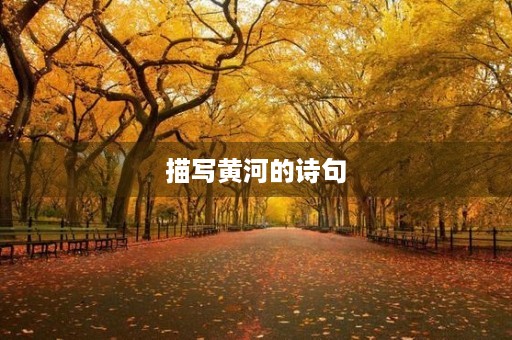 描写黄河的诗句 描写黄河的诗句
