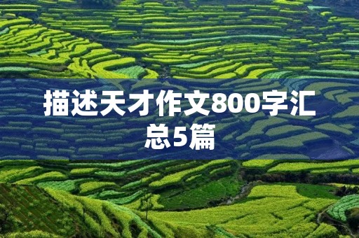 描述天才作文800字汇总5篇