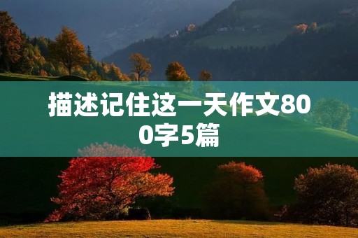 描述记住这一天作文800字5篇 描述记住这一天作文800字5篇