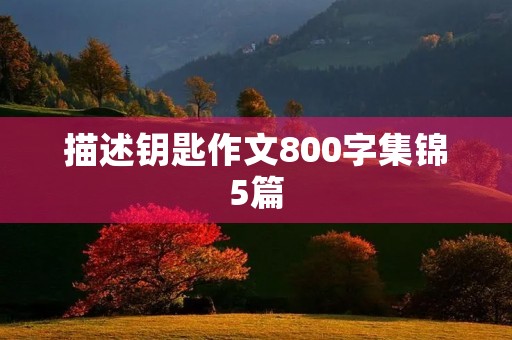 描述钥匙作文800字集锦5篇 描述钥匙作文800字集锦5篇