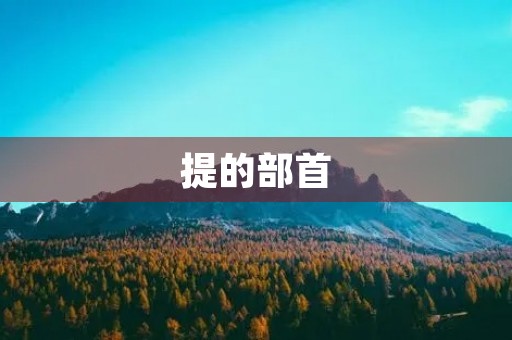 提的部首(提的组词)
