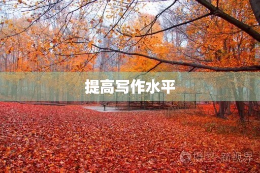 提高写作水平,摘抄优秀作文5篇 提高写作水平,摘抄优秀作文5篇